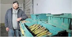  ?? BARRY GRAY THE HAMILTON SPECTATOR ?? Jason Ryder of Ryder Farms near Delhi with a few bins of asparagus in the cold room, which normally would be filled at this time of year.