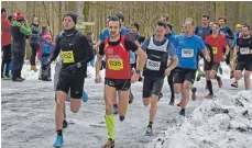  ?? FOTOS: KLAUS EICHLER ?? Edwin Singer ( Startnumme­r 535) und Alexander Härdtner ( 35) boten den Ulmer Läufern um Fabian Konrad ( 52) beim finalen Lauf im Vogter Wald lange Paroli.