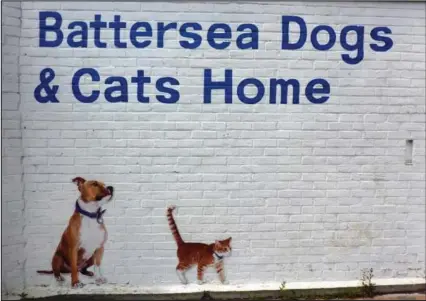  ??  ?? From left clockwise: Jean and John Irvine, Sinead Price-Green, Gareth and Yasmin Mawar all had their say on the move by Battersea Dogs & Cat Home to raise funds