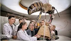  ?? RP-FOTO: RALPH MATZERATH ?? Anlässlich der Preisverle­ihung erklärte jetzt die Monheimer Schülerin Laura Watermann (rechts am Korb) ein Bienenproj­ekt.