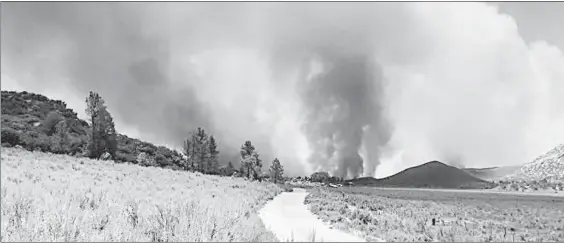  ??  ?? El incendio forestal que afecta la Sierra de Juárez y que se inició el 26 de junio en el Cañón de Jamatay, en Ensenada, Baja California, ha consumido 18 mil 770 hectáreas, 270 de arbolado adulto, 7 mil 190 de pastizales y 11 mil 310 de ecosistema...