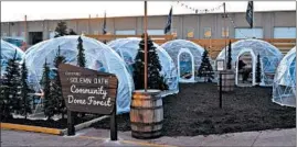  ??  ?? Solemn Oath Brewery in Naperville built and installed 12 domes for guests to reserve as part of its Community Dome Forest, complete with fake trees and mulch.