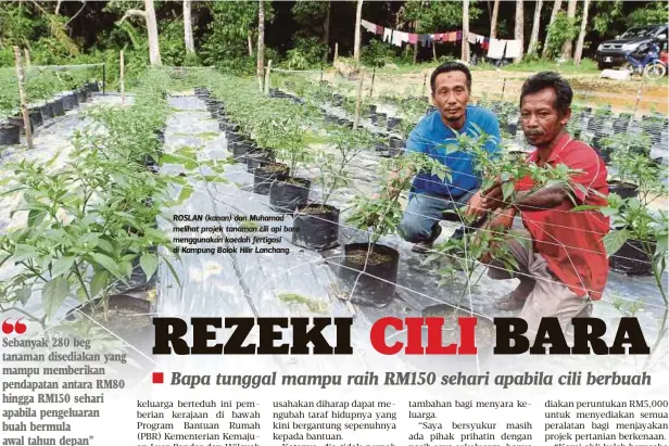  ?? Roslan Rosli ?? Sebanyak 280 beg tanaman disediakan yang mampu memberikan pendapatan antara RM80 hingga RM150 sehari apabila pengeluara­n buah bermula awal tahun depan” ROSLAN (kanan) dan Muhamad melihat projek tanaman cili api bara menggunaka­n kaedah fertigasi di...