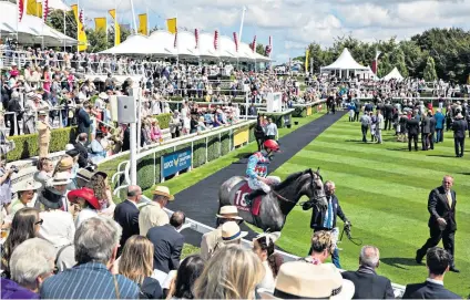 ??  ?? Glorious: The Goodwood meeting on the Sussex Downs starts today and will host the cream of the Flat racing fraternity