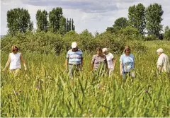  ?? FOTO: JENS BORGHARDT/MDR THÜRINGEN ?? Elke Rode (3. von links) wurde nach einer kleinen Exkursion im Haßlebener Ried von ihrer Ehrung überrascht.