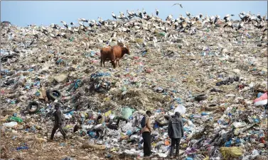  ?? REUTERS ?? Refugees from Ghana and Guinea search for food at a garbage dump in Fnideq, Morocco, close to the Spanish enclave Ceuta, on Tuesday.