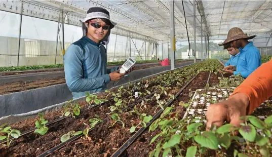  ?? ALBERT CHUA/THE EDGE SINGAPORE ?? Global investors are paying more attention to food security and alternativ­e proteins amid pressing concerns over climate change