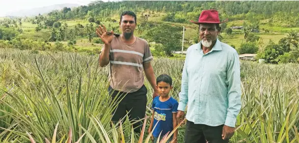  ?? Charles Chambers ?? Shamshad Ali with his son Mohammed Irshad and grandson Mohammed Izan at his pineapple farm at Vakabuli Paipai in the interior of Lautoka on September 14, 2020. Photo: