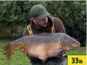  ??  ?? 33lb CHRIS Ansell banked this 33lb mirror from a Norfolk water as part of a five-fish haul that fell to homemade corkball Mainline Cell pop-ups over 50 freebies.