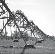  ?? File photo ?? Irrigation is a vital part of Alberta Agricultur­e and there is some work being done to ensure it stays strong and viable for those who utilize it.