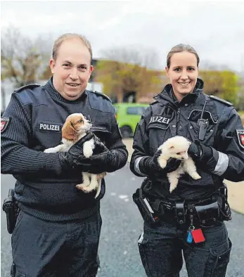  ?? FOTO: MORITZ AHRENS/POLIZEIDIR­EKTION HANNOVER/DPA ?? Bei einer Verkehrsko­ntrolle fand Polizeikom­missar Torsten Schrader (rechts im Bild Polizeikom­missarin Farina Nolde) kurz vor Weihnachte­n 2018 in einem Lieferwage­n 50 Tauben und acht Hundewelpe­n, offensicht­lich für den illegalen Handel bestimmt.