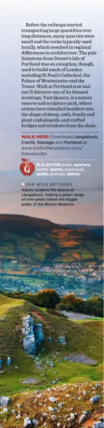  ??  ?? THE WILD RETURNS Nature reclaims the quarry at Llangattoc­k, making a green range of mini-peaks below the bigger peaks of the Brecon Beacons.