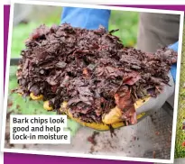  ?? ?? Bark chips look good and help lock-in moisture