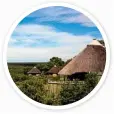  ?? Photo: iStock ?? BREAK TIME: Tourist bungalows at a rest camp in Kruger National Park.