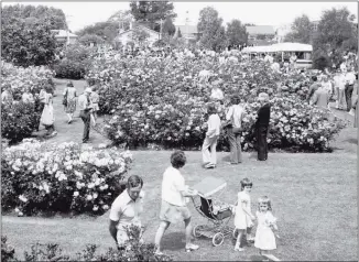 ??  ?? Sweeping view of Te Awamutu Rose Garden at the 40th anniversar­y in 2009.