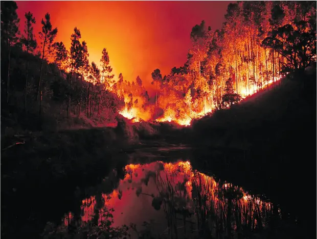  ?? PATRICIA DE MELO MOREIRA / AFP / GETTY IMAGES ?? More than 350 soldiers joined 700 firefighte­rs battling an intense Portugal wildfire believed to be started by a “dry thundersto­rm.”