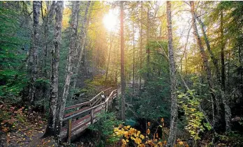  ??  ?? Almost all ports have a series of stunning walks guests can explore during the stopover.