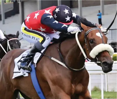  ?? Picture: JC Photograph­ics ?? COMEBACK. Bless My Stars will have her first run of the year when she lines up in the Grade 3 Betway London News Stakes over 1800m at Turffontei­n tomorrow.