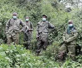  ??  ?? Für den Fall der Fälle: Die sogenannte­n Gorilla-Tracker tragen Waffen, um sich gegen mögliche Angriffe von Wilderern zu schützen.
