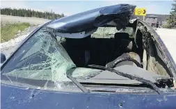  ?? Supplied / Jonat han Bromley ?? Stephen Bromley’s car after he hit a moose in Newfoundla­nd.
Bromley kept driving 18 km oblivious to the damage.