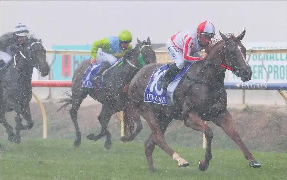  ?? Photo: David Thorpe/Racing Photos ?? SPLISH, SPLASH: Echuca trained Madam Superior proved that’s what she was when racing to victory through a monsoonal downpour at the Benalla races on Thursday.