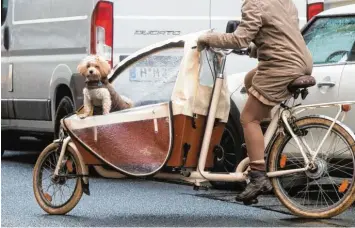  ?? Symbolfoto: Julian Stratensch­ulte, dpa ?? Gut, dass wirklich alles, von der Radlerin übers Rad bis hin zum niedlichen Hund elegant Ton in Ton ist, das ist eine Seltenheit – doch Lastenfahr­räder an sich sieht man immer häufiger im Straßenver­kehr.