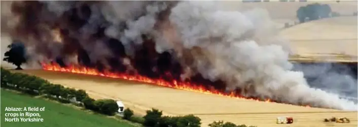  ?? ?? Ablaze: A field of crops in Ripon, North Yorkshire