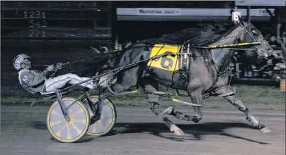  ?? PHOTO SPECIAL TO THE GUARDIAN BY GAIL MACDONALD ?? Always At My Place crosses the finish line first in 1:51.1 in Gold Cup and Saucer Trial 1.