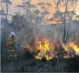  ?? PHOTOS: PAUL MILLER/THE ASSOCIATED PRESS ?? A volunteer puts out a fire in the town of Bell, Australia, on Sunday as firefighte­rs battle some of the most destructiv­e wildfires to ever strike Australia’s most populous state.