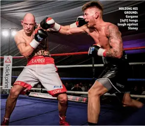  ?? Photo: MARK TIERNEY PHOTOGRAPH­Y ?? HOLDING HIS GROUND: Gargano [left] hangs tough against Slaney