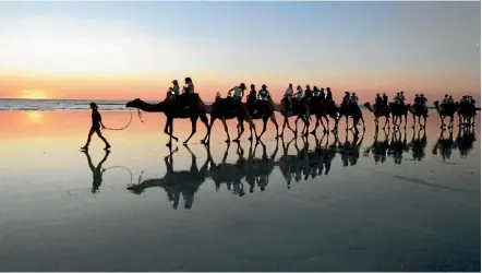  ?? PHOTO: REUTERS ?? It’s most famous for its camel-trains of tourists, but if you have your own 4WD, you can take a 22km drive along Cable Beach.