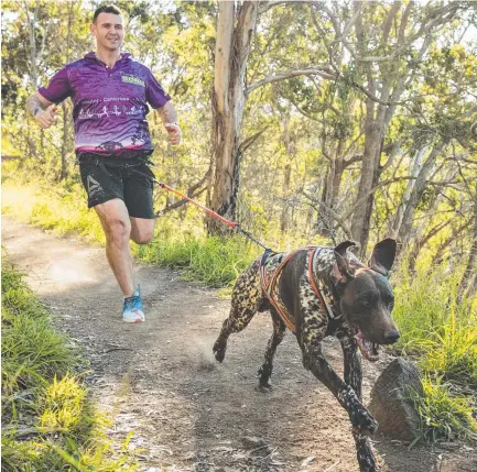  ?? Picture: Kevin Farmer ?? FUN RUN: Sled Dog Racing Queensland vice-president Daniel Rose with his dog Knowa.