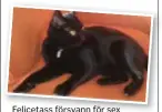  ?? FOTO: PRIVAT ?? Felicetass försvann för sex månader sedan.