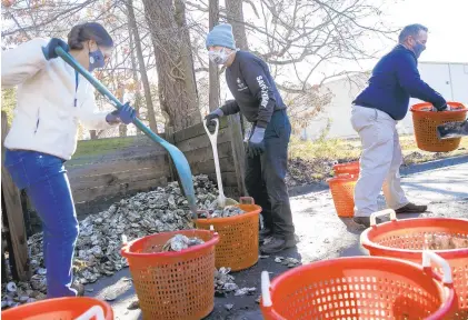  ?? KRISTEN ZEIS/STAFF ?? From left to right, Claire Neubert, volunteer, George Curran, volunteer, and Chris Moore, senior scientist with Chesapeake Bay Foundation, shovel oyster shells at Sam Rust Seafood in Hampton, on Dec. 17.