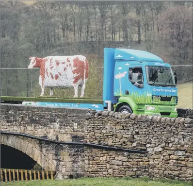  ?? PICTURE: CHARLOTTE GRAHAM. ?? SHOW STOPPER: Emma Stothard’s galvanised steel sculpture of the Craven Heifer being transporte­d.