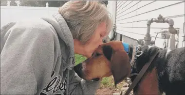  ?? | MICHELLE L. QUINN/FOR THE POST-TRIBUNE ?? Kelly Mickey, of Hammond, cuddles with Troy, a 4 year-old hound originally rescued by Hearts and Hounds of Scherervil­le.