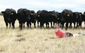  ?? ?? Ben Glover with some of the 2022 Wattlewood sale bulls.