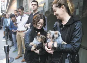  ?? Paul Chinn / The Chronicle ?? Sydney Kasahara (left) and Michelle Lett hold dogs Stevi and Vivi while they wait in line for new iPhones at the Stockton Street store.