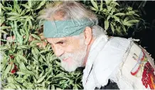  ?? THE CANADIAN PRESS/FILES ?? Tommy Chong smoked his first pot in the city in the late 1950s. “Calgary made me what I am.… I love Calgary.”