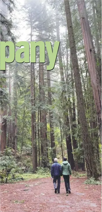  ?? COURTESY OF MELISSA OZBEK ?? What’s a “sweetheart hike”? One where the trail is wide enough to hold hands. The Redwood Grove Loop at Henry Cowell Redwoods State Park is a perfect spot to hike side by side.