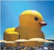  ??  ?? Last July, Tayyabah enjoyed checking out the giant rubber duck on Toronto’s waterfront as she celebrated her very first Canada Day.