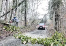  ?? FOTO: CF ?? Ein umgestürzt­er Baum blockiert eine Straße am Schönbühl.