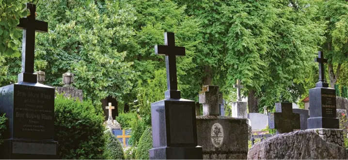  ?? Foto: Jochen Aumann ?? 260 Bäume wurden gepflanzt, als der Friedhof in Nördlingen vor 200 Jahren neu gestaltet und erweitert wurde.