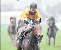  ??  ?? Louboutin is pictured recording the second of her two wins on the Wanganui track last winter. The John Bary-trained mare is likely to return to that venue when gallops racing resumes next month.