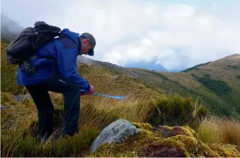  ??  ?? Patterson marks up the survey line for the Paparoa Track on the tops.