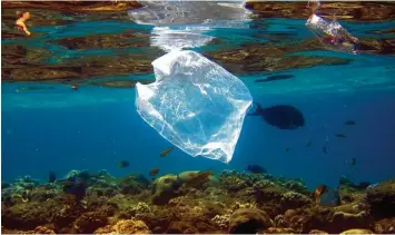  ?? Foto: Mike Nelson, dpa ?? In den Ozeanen landet immer mehr Plastikmül­l.