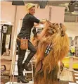  ?? FOTO: BERNS ?? Salonleite­rin Melanie Weiler frisiert Star-Wars-Figur Chewbacca.