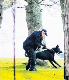  ??  ?? On the loose Police dogs search for the Ailsa attacker