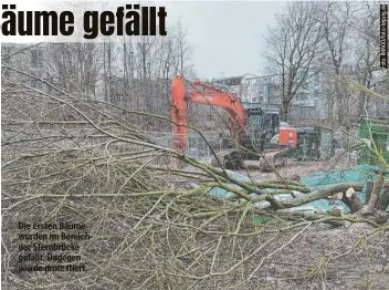  ?? ?? Die ersten Bäume wurden im Bereich der Sternbrück­e gefällt. Dagegen wurde protestier­t.