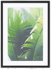  ??  ?? Large Tropical Leaves art print, £15, Abstract House.